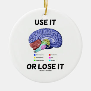 Use It Or Lose It (Brain Anatomy Humor) Ceramic Ornament