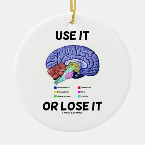 Use It Or Lose It Brain Anatomy Humor Ceramic Ornament