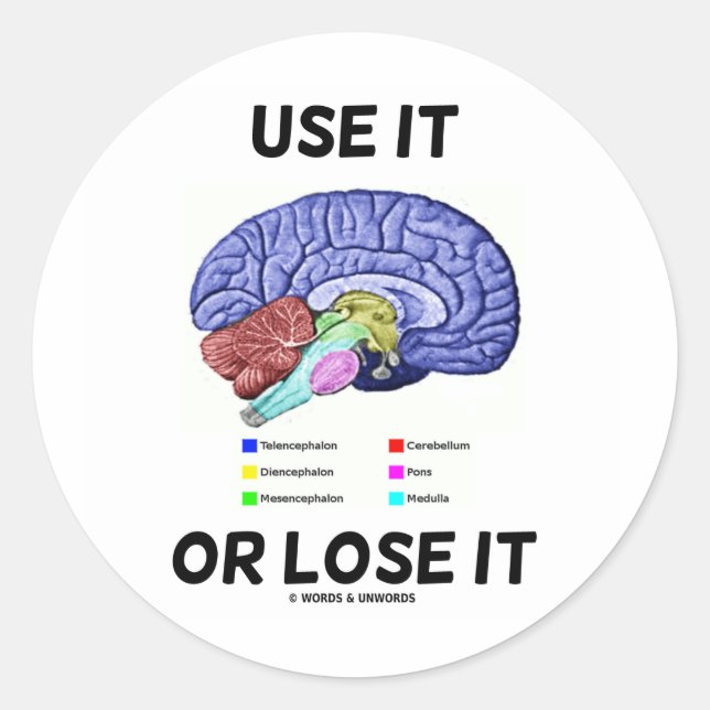 Use It Or Lose It (Brain Anatomy Humor Saying) Classic Round Sticker (Front)