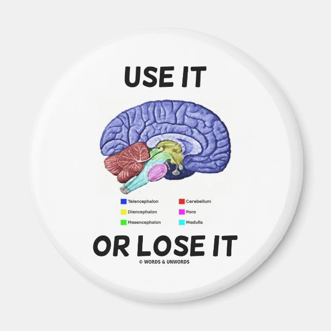 Use It Or Lose It (Brain Anatomy Humor Saying) Magnet (Front)