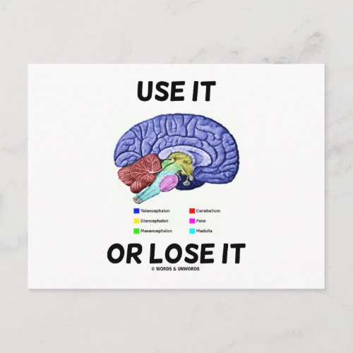 Use It Or Lose It Brain Anatomy Humor Saying Postcard