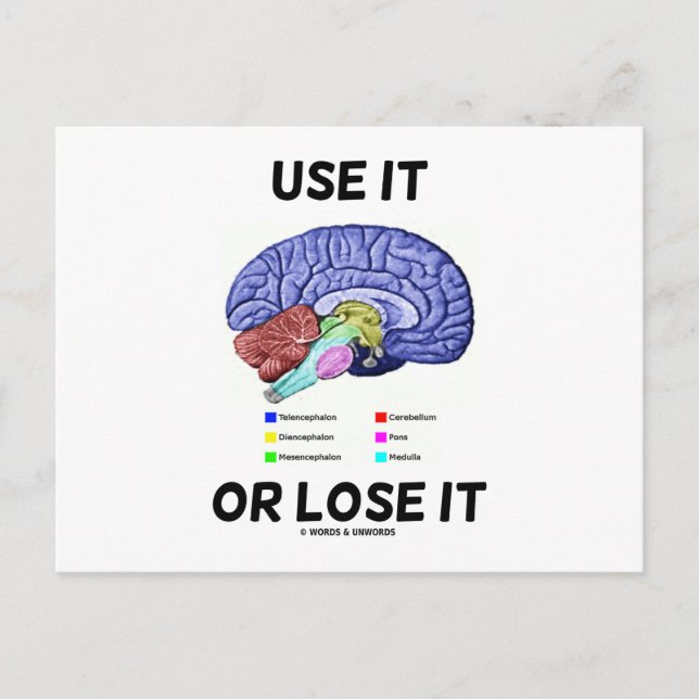 Use It Or Lose It (Brain Anatomy Humor Saying) Postcard (Front)
