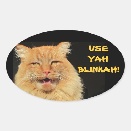 Use Yah Blinkah Says Boston Kittah Oval Sticker