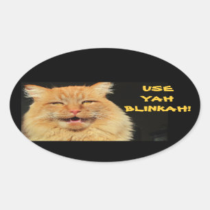 Use Yah Blinkah Says Boston Kittah Oval Sticker
