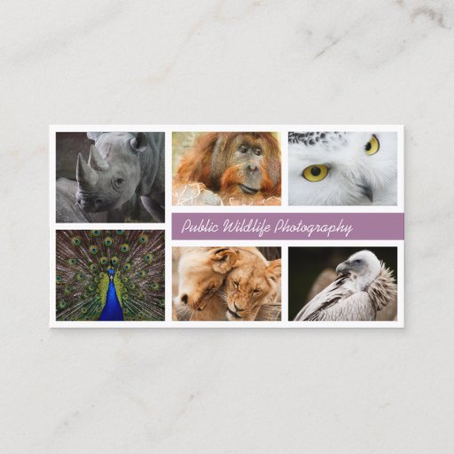 Customizable Wildlife Photography Photographers Business Card