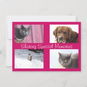 Use Your Own Photos Card