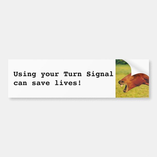 Use your Turn Signal Horse Bumper Sticker (Front)