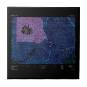 USGS Topo Map Washington State WA Mount Rainier 24 Tile