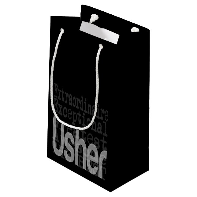 Usher Extraordinaire Small Gift Bag (Back Angled)