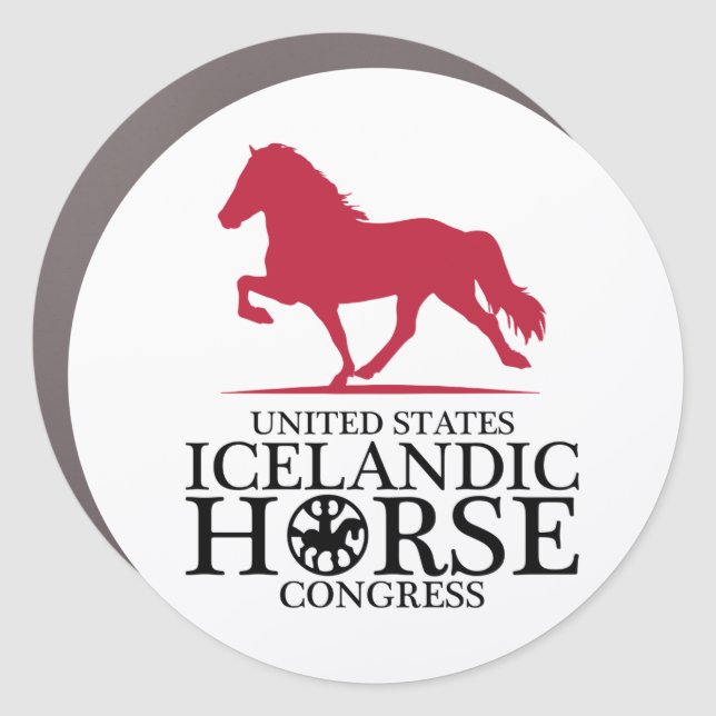 USIHC Car Magnet (Front)