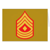 USMC 1st Sgt First Sergeant E-8 (Front Horizontal)