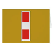 USMC CWO3 Chief Warrant Officer 3 W-3 (Front Horizontal)