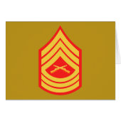 USMC MSgt Master Sergeant E-8 (Front Horizontal)