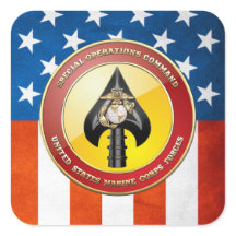 USMC Special Operations Command (MARSOC) [3D]