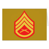 USMC SSgt Staff Sergeant  E-6 (Front Horizontal)