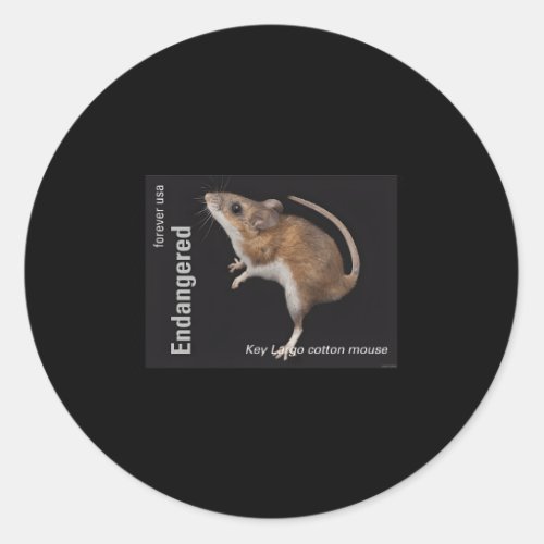 Usps Endangered Species Key Largo Cotton Mouse Ful Classic Round Sticker