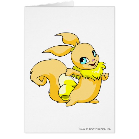 Usul Yellow Cards (Front)