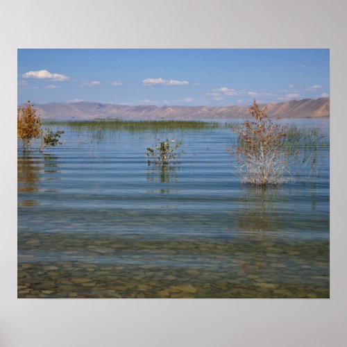 UT Bear Lake Poster