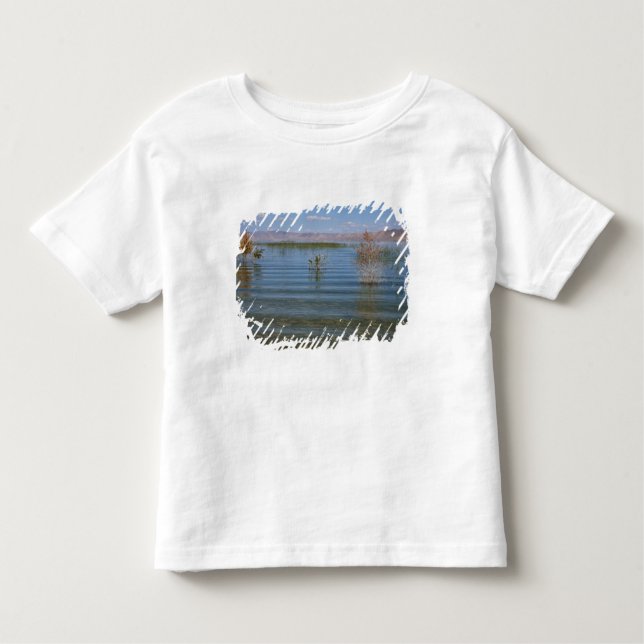 UT, Bear Lake Toddler T-shirt (Front)