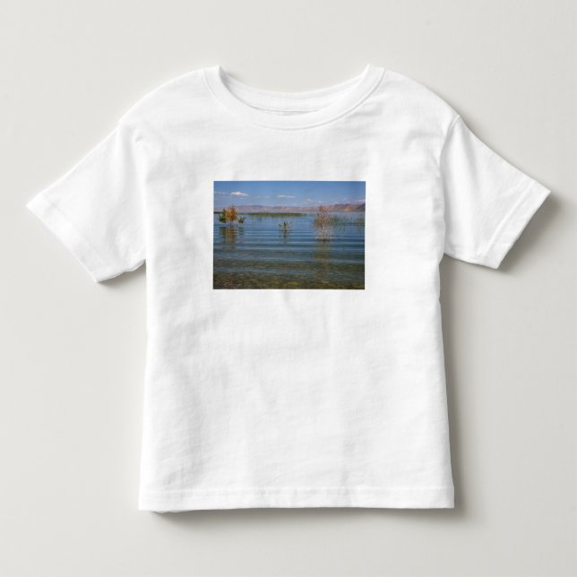 UT, Bear Lake Toddler T-shirt (Front)
