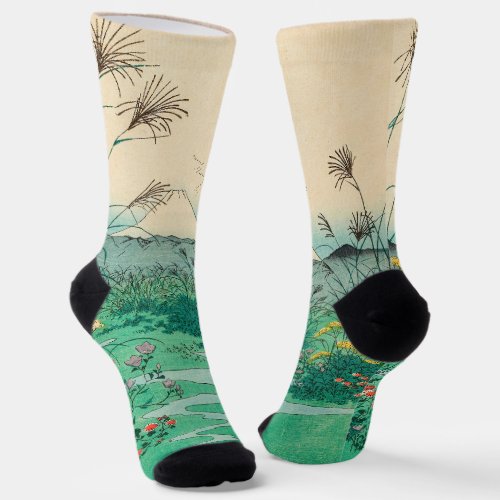 Utagawa Hiroshige _ Otsuki Plain in Kai Province Socks