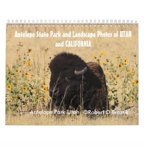 Utah and Lake Tahoe Landscapes Calendar