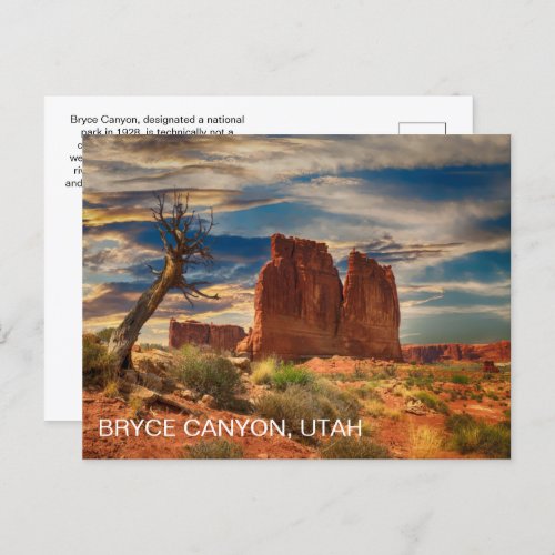 Utah Bryce Canyon National Park Postcard