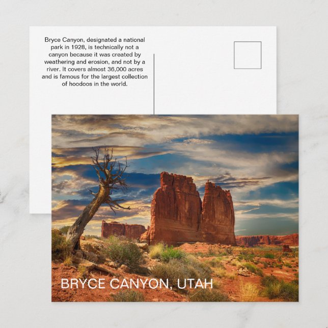 Utah Bryce Canyon National Park Postcard (Front/Back)