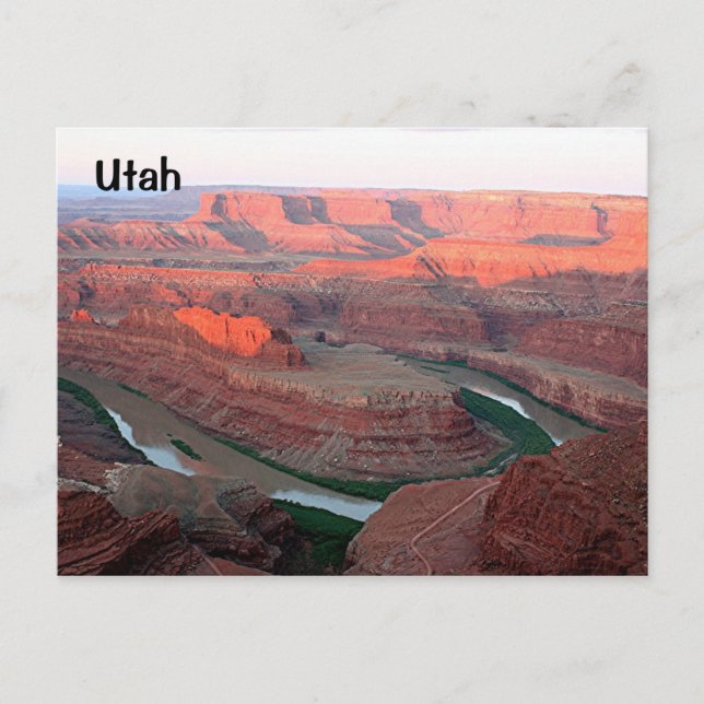 Utah: Dead Horse Point State Park 3, sunrise Postcard (Front)
