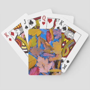 Utah, Glen Canyon National Recreation Area 2 Poker Cards