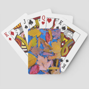 Utah, Glen Canyon National Recreation Area 2 Poker Cards