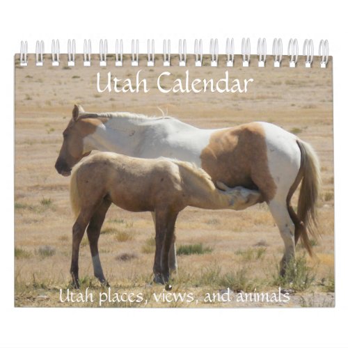 Utah Photograph Calendar