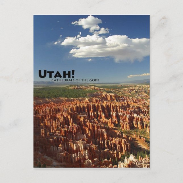 Utah Postcard (Front)