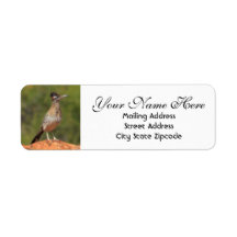 Utah Roadrunner Return Address