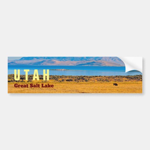 UTAH  The Great Salt Lake State Bumper Sticker