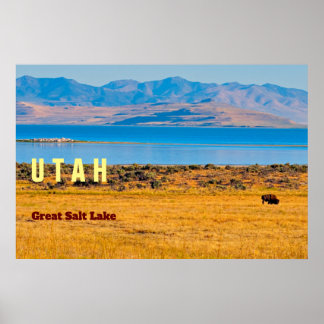 UTAH The Great Salt Lake State Poster