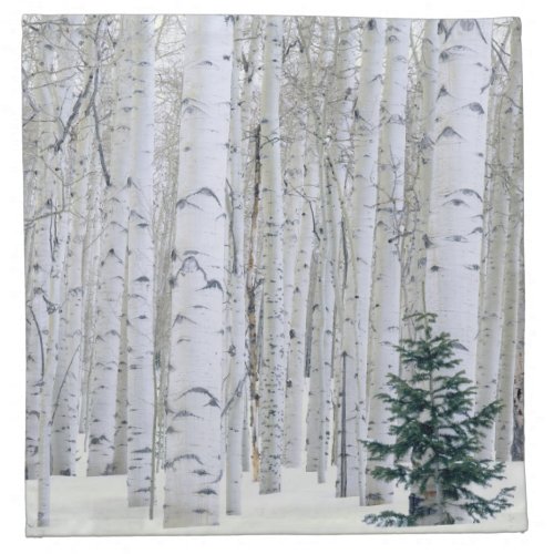 UTAH USA Aspen Populus tremuloides  Douglas Cloth Napkin