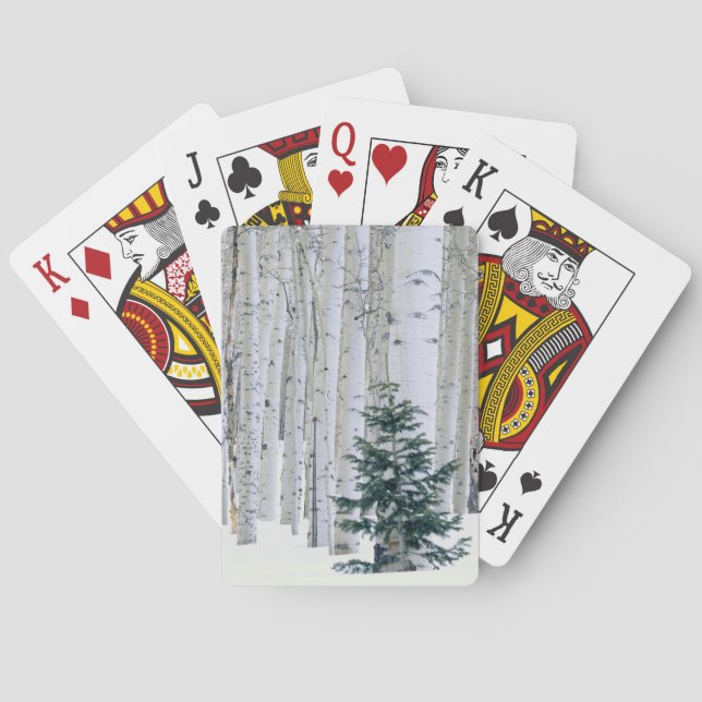 UTAH. USA. Aspen (Populus tremuloides) & Douglas Poker Cards (Back)