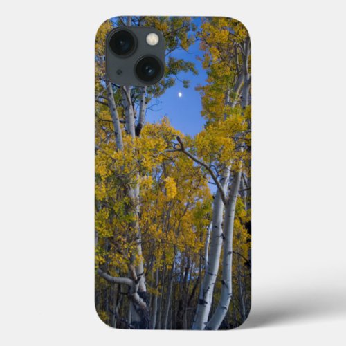Utah USA Aspen Trees And Moon At Dusk iPhone 13 Case