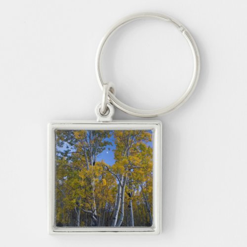 Utah USA Aspen Trees And Moon At Dusk Keychain