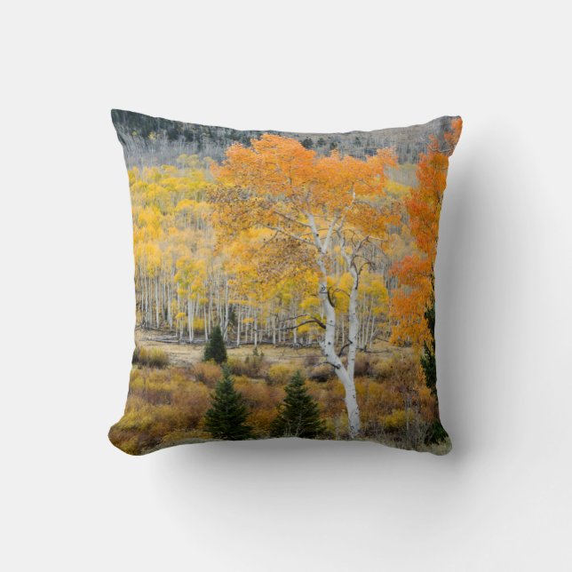 Utah, USA. Aspen Trees And Willow Thickets Throw Pillow (Front)