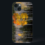 Utah, USA. Aspen Trees (Populus Tremuloides) 2 iPhone 13 Case<br><div class="desc">Scott T. Smith / DanitaDelimont.com USA,  North America,  Utah</div>