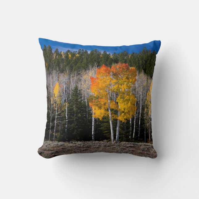 Utah, USA. Aspen Trees (Populus Tremuloides) 2 Throw Pillow (Front)