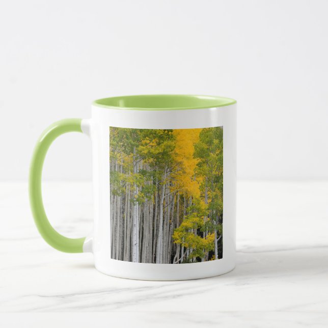 Utah. USA. Aspen Trees (Populus Tremuloides) Mug (Left)
