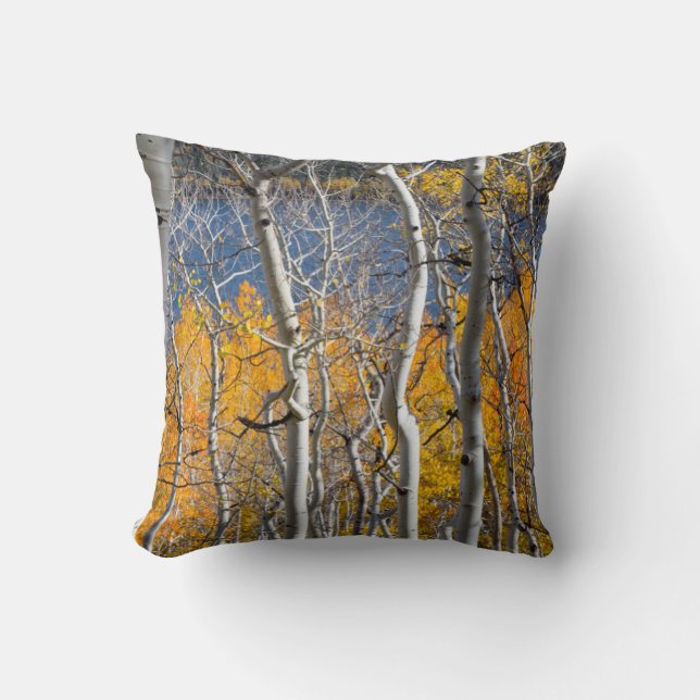 Utah, USA. Aspen Trees (Populus Tremuloides) Throw Pillow (Front)