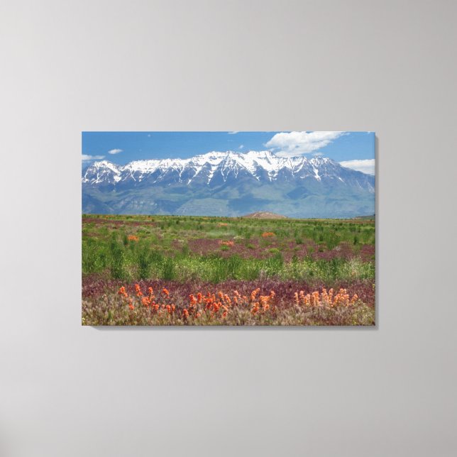 Utah, USA. Mt. Timpanogos Rises Above Canvas Print (Front)