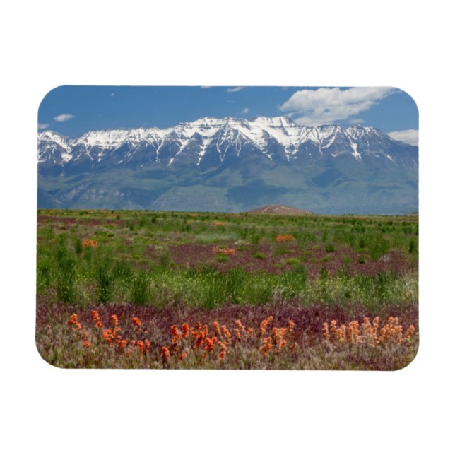 Utah, USA. Mt. Timpanogos Rises Above Magnet (Horizontal)