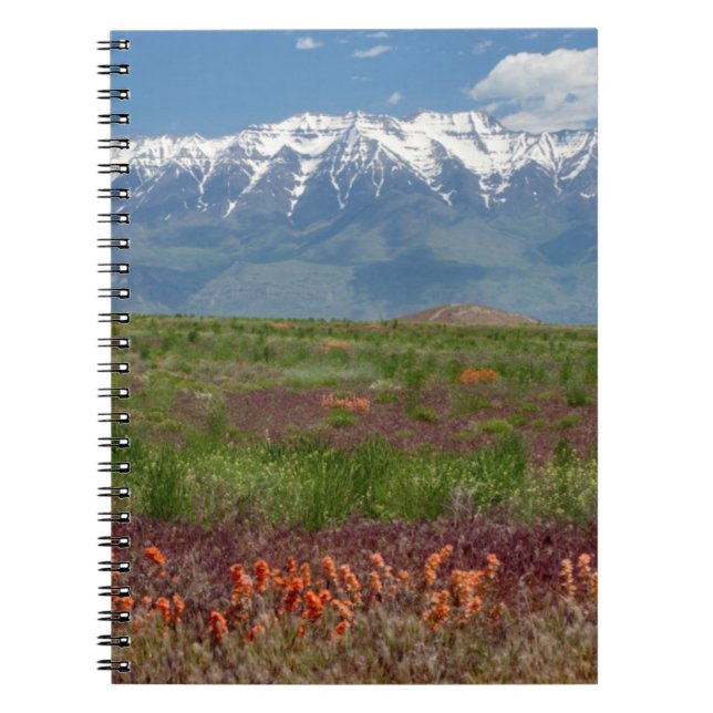 Utah, USA. Mt. Timpanogos Rises Above Notebook (Front)