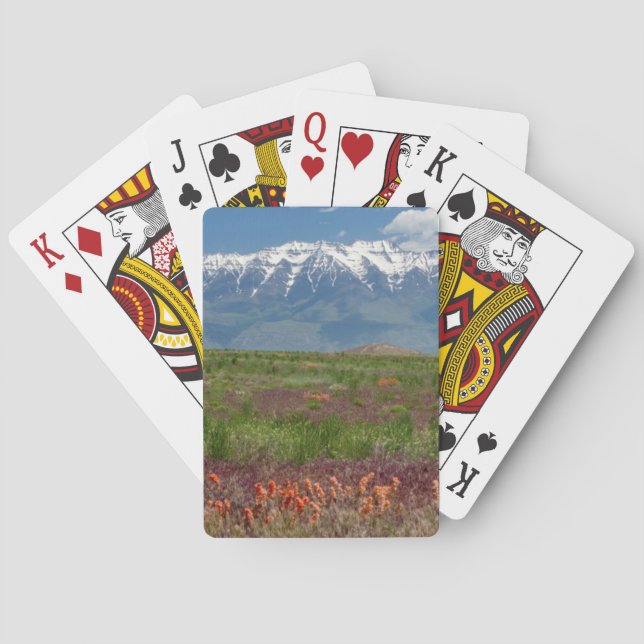 Utah, USA. Mt. Timpanogos Rises Above Poker Cards (Back)