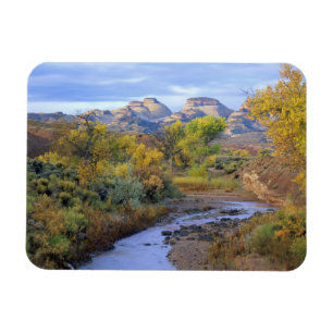 UTAH. USA. Pleasant Creek in autumn at sunrise. Magnet